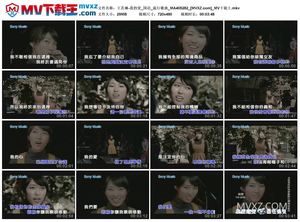 王若琳-我的爱_国语_流行歌曲_MA405282